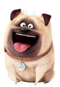 Friday Open Bowls Mufti